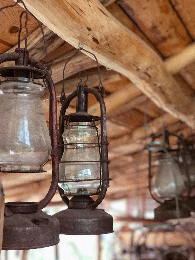 Чорногірський Вітер Villa Verkhovyna Bagian luar foto